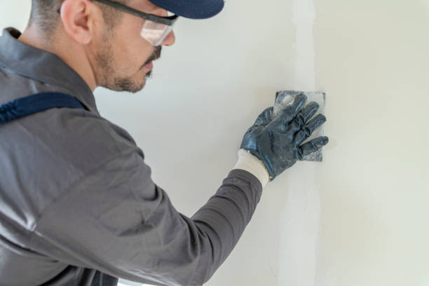 Best Wallpaper Removal and Painting  in Central Heights Midland City, AZ