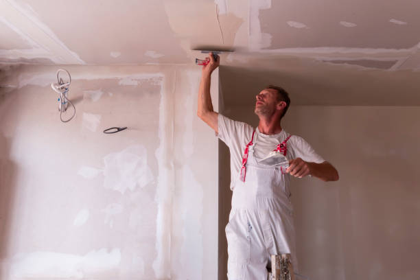 Central Heights Midland City, AZ Painting & Drywall Services Company